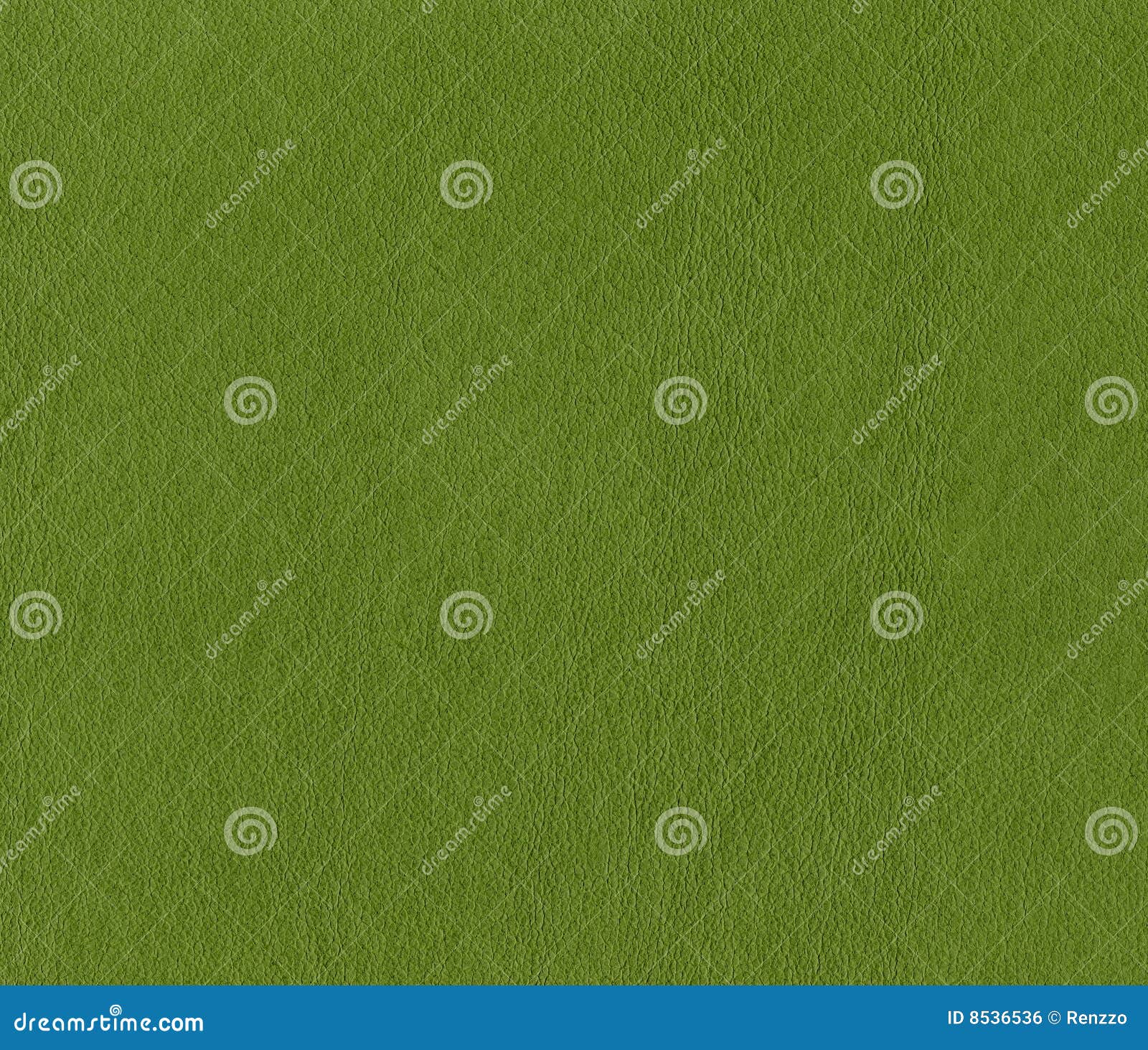 Light Green Faux Leather Texture Close-Up Stock Photo, Picture and Royalty  Free Image. Image 17357226.