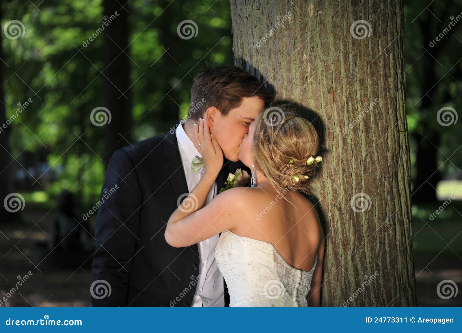 A Soft Kiss By The Tree. Stock Image Image 24773311