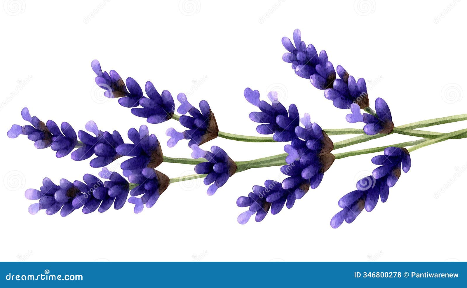 soft lavender sprig artwork in calming botanical theme