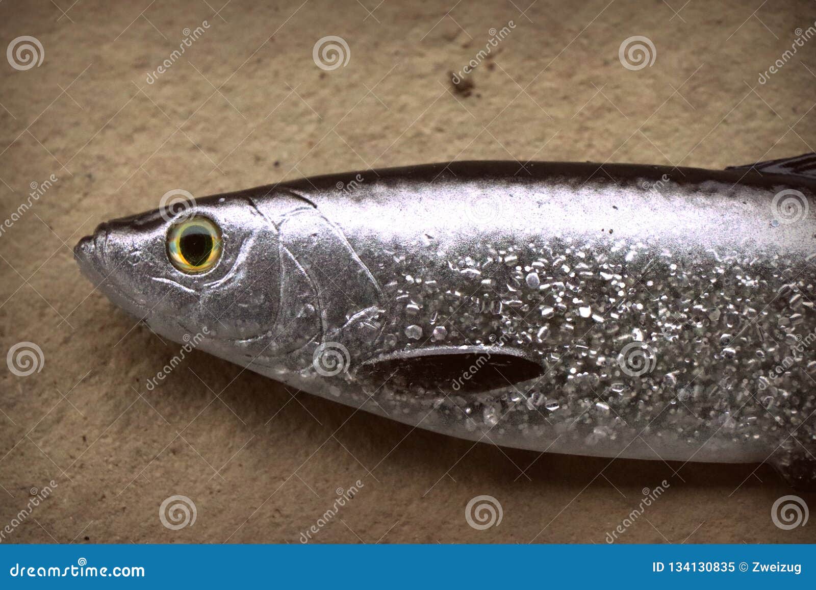 Large Life-like Soft Fishing Lure Herring Stock Image - Image of