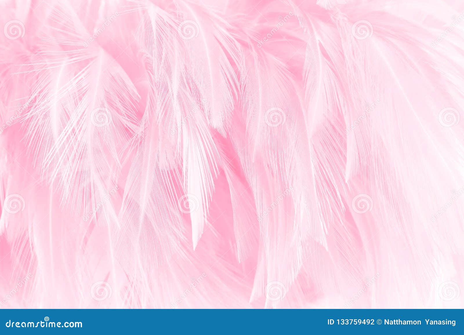 Soft Pink Feathers Texture Background Stock Photo Image of dream