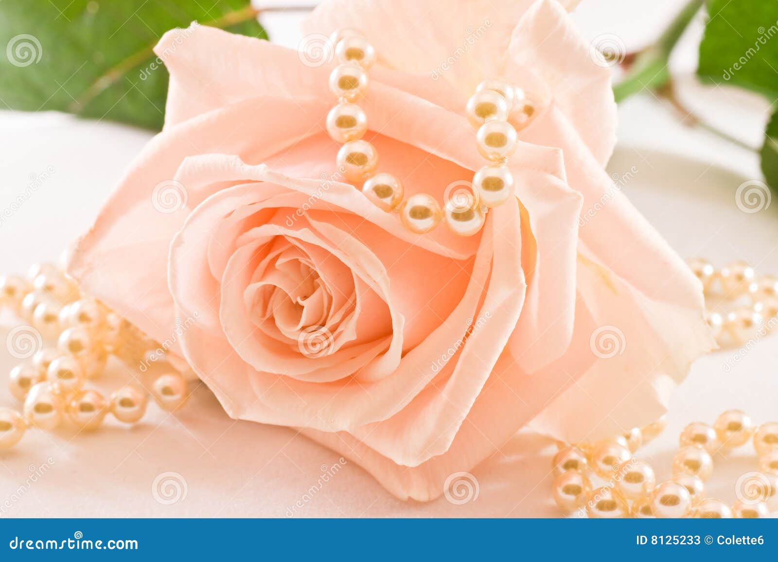 soft pink rose and pearls