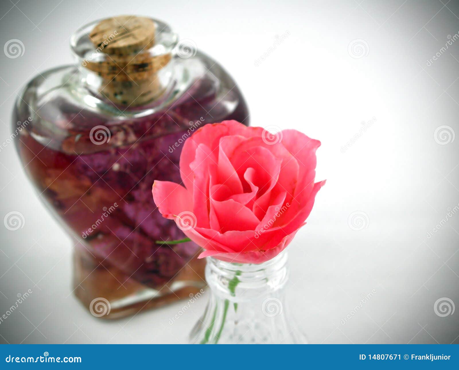 Soft Pink Roses Arranged with Massage Oil Stock Image Image of fresh, drops 14807671