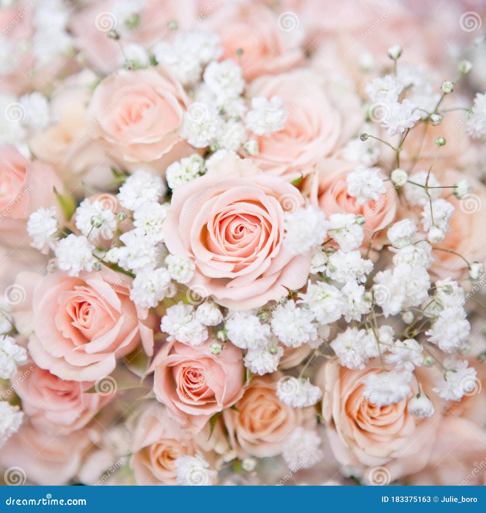 1,251 Pink Glitter Roses Stock Photos - Free & Royalty-Free Stock Photos  from Dreamstime
