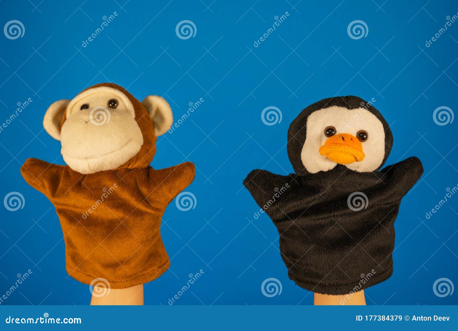 toy monkey clapping hands