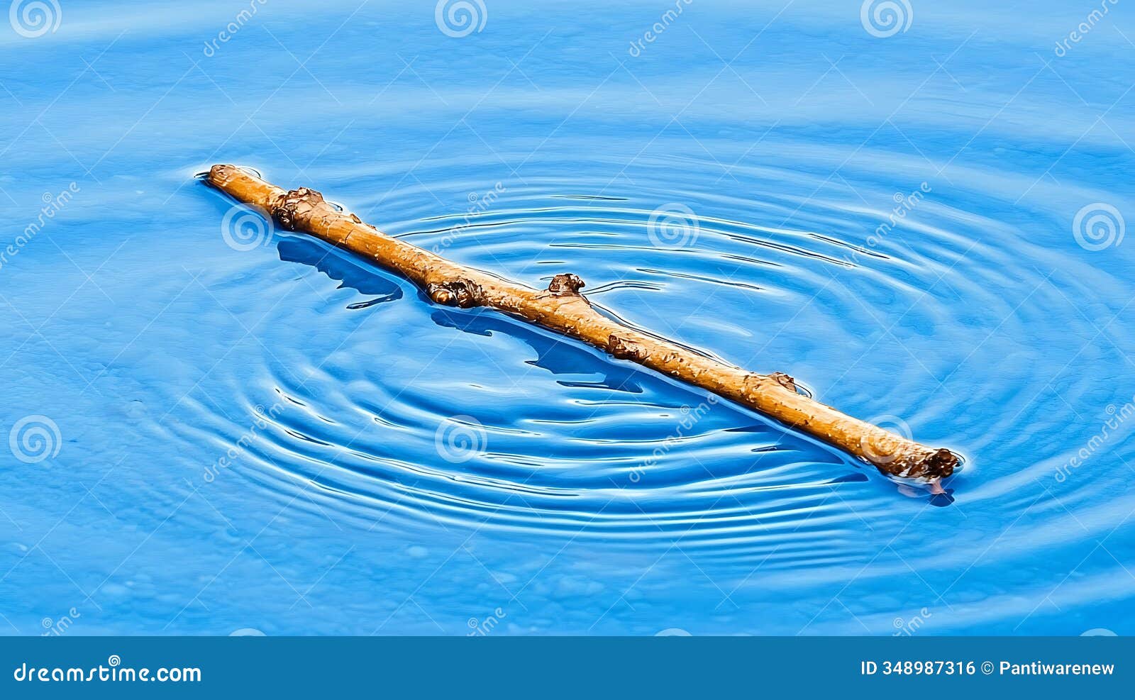 soft ripples surrounding a stick in calm water