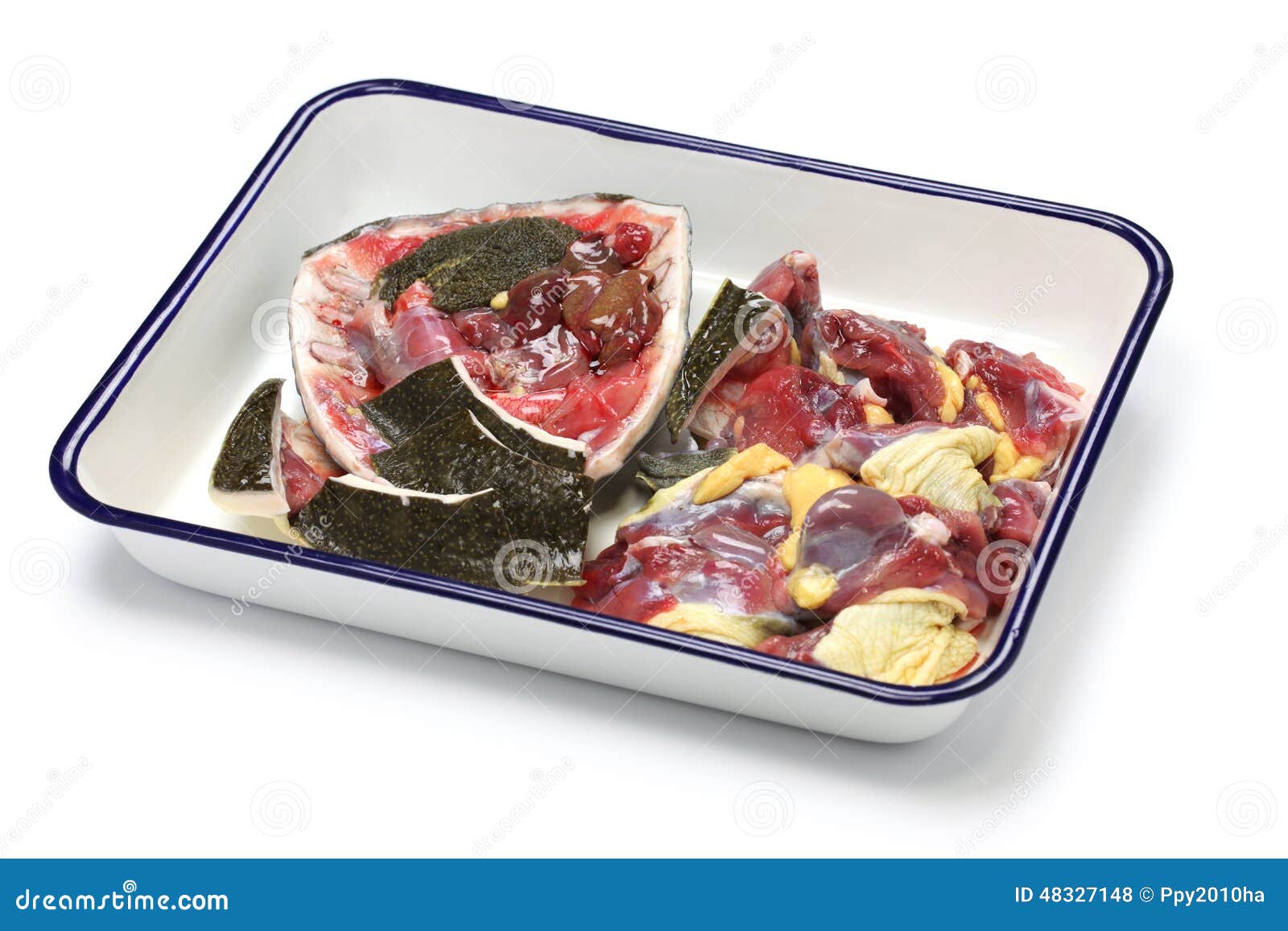 Soft shell turtle raw meat stock photo. Image of tray 48327148