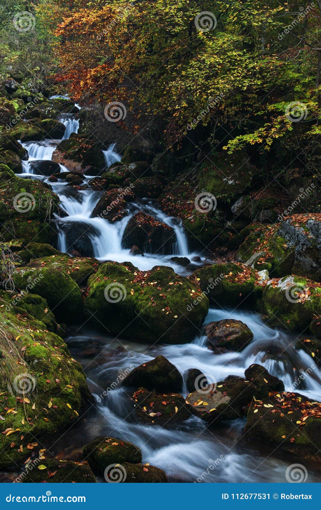 Soft Stream Flowing Over Mossy Rocks In The Colors Of Autumn Stock