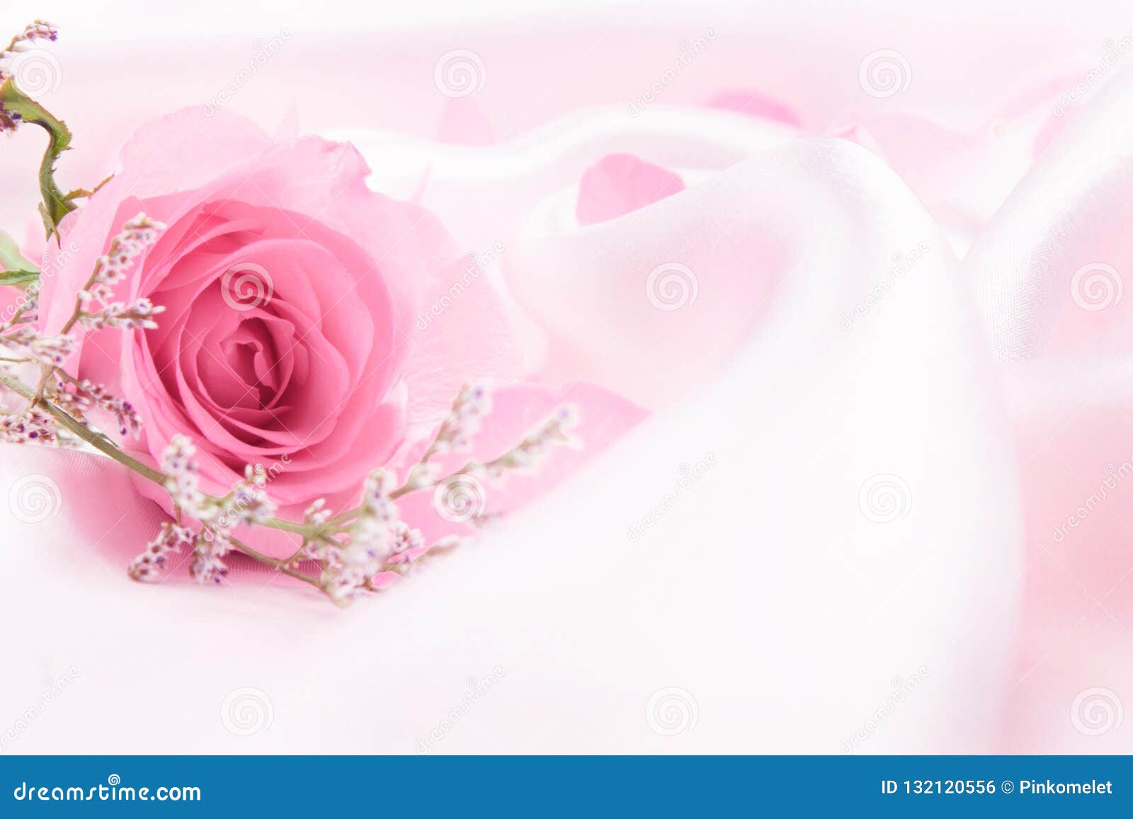 Soft Sweet Rose Flowers for the Love Romance Background Stock ...