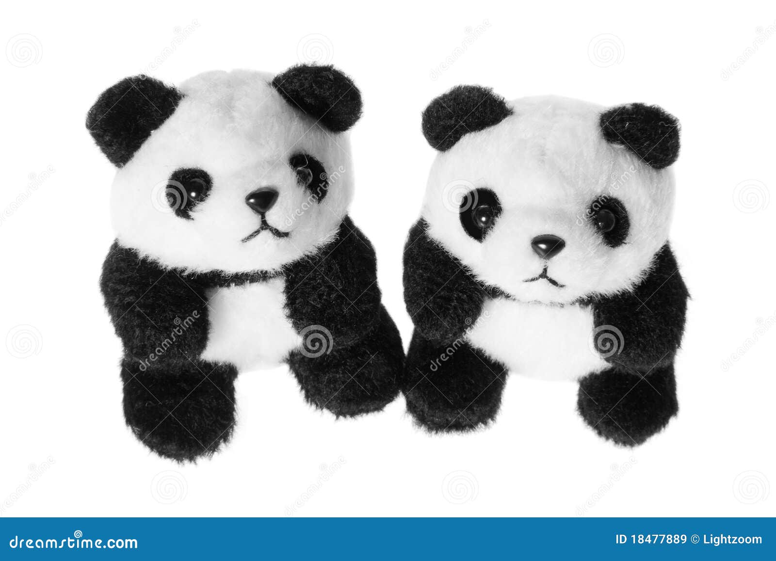 Soft Toy Pandas stock image. Image of soft, white, friends 18477889