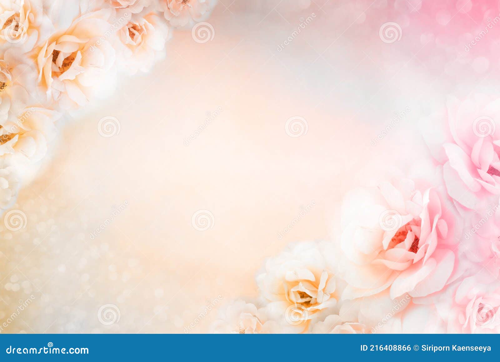 Light Pink and White Rose Floral Border Vintage Background Design for  Mother`s Day Card Stock Photo - Image of copy, blur: 216408866