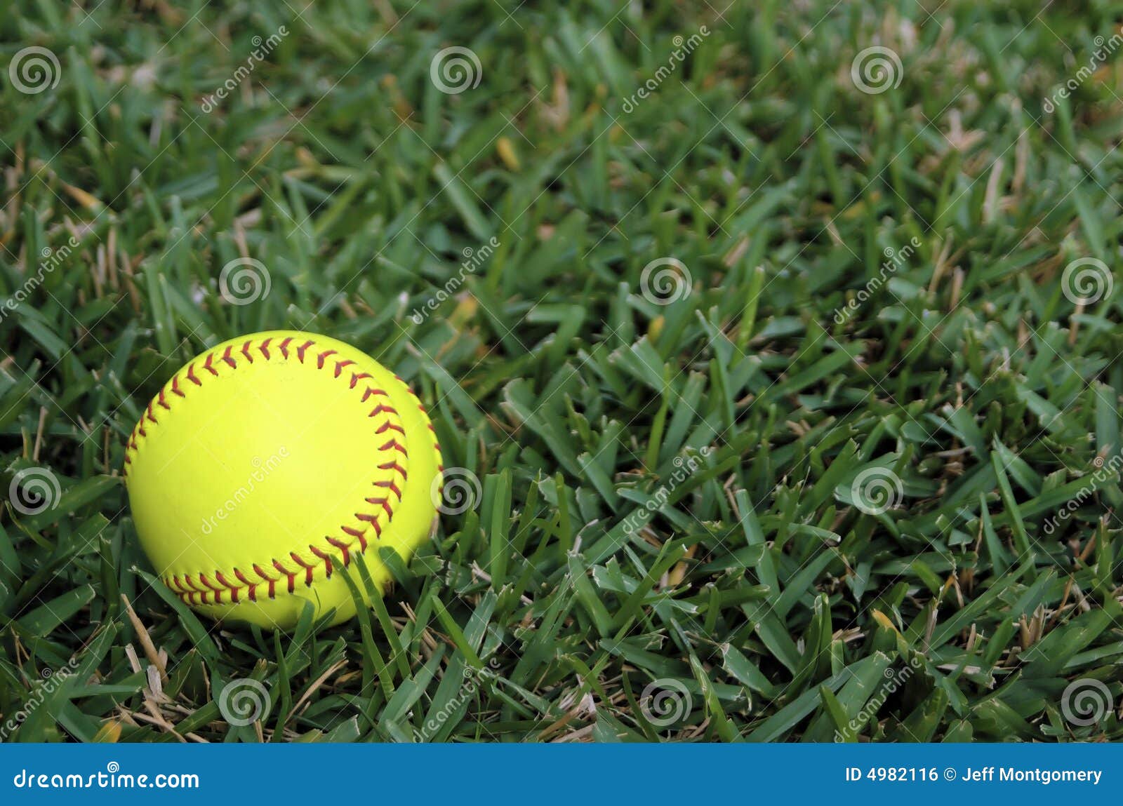 Softball in the Outfield stock photo. Image of competition 4982116