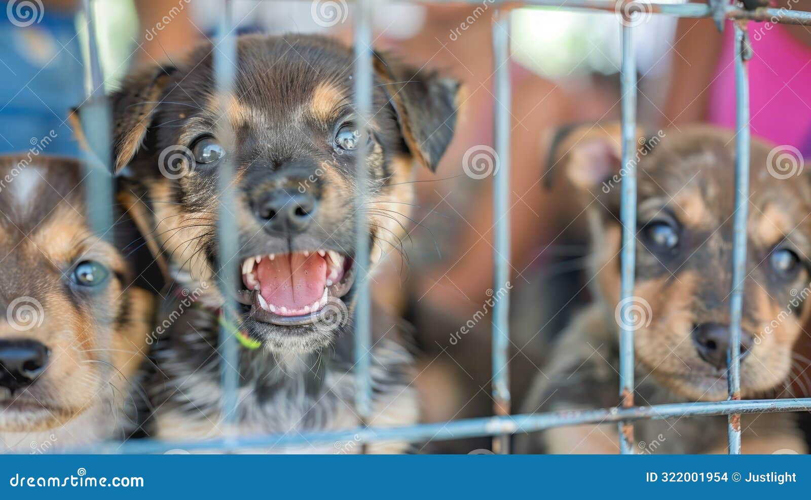 softfocus glimpse of smiling faces and cuddly critters at the crowded adoption event