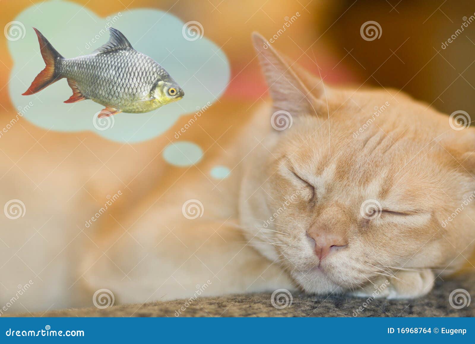Sogno del gatto illustrazione vettoriale. Illustrazione di pasto 16968764