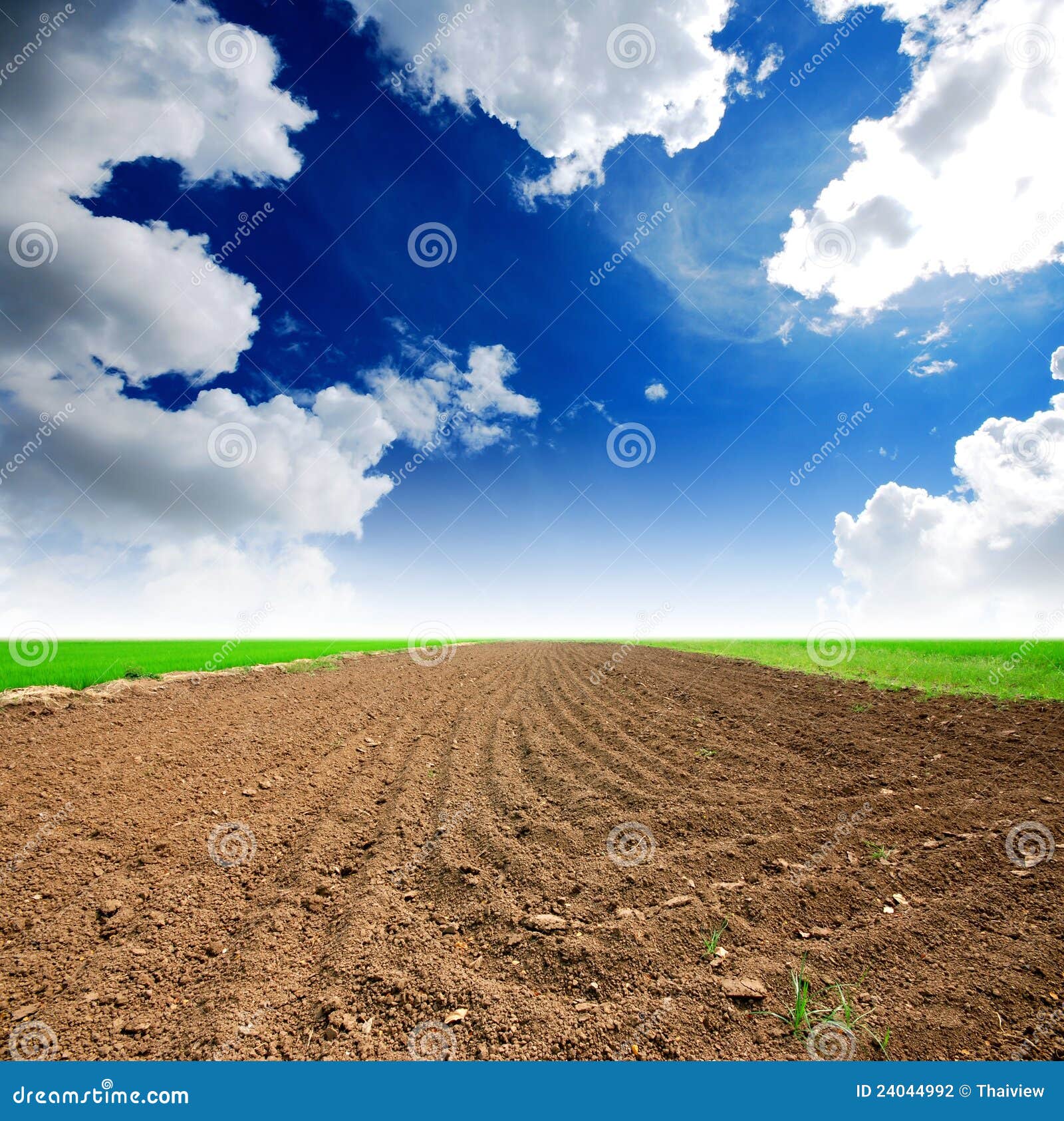 Soil Background stock photo. Image of field, meadow, agriculture - 24044992