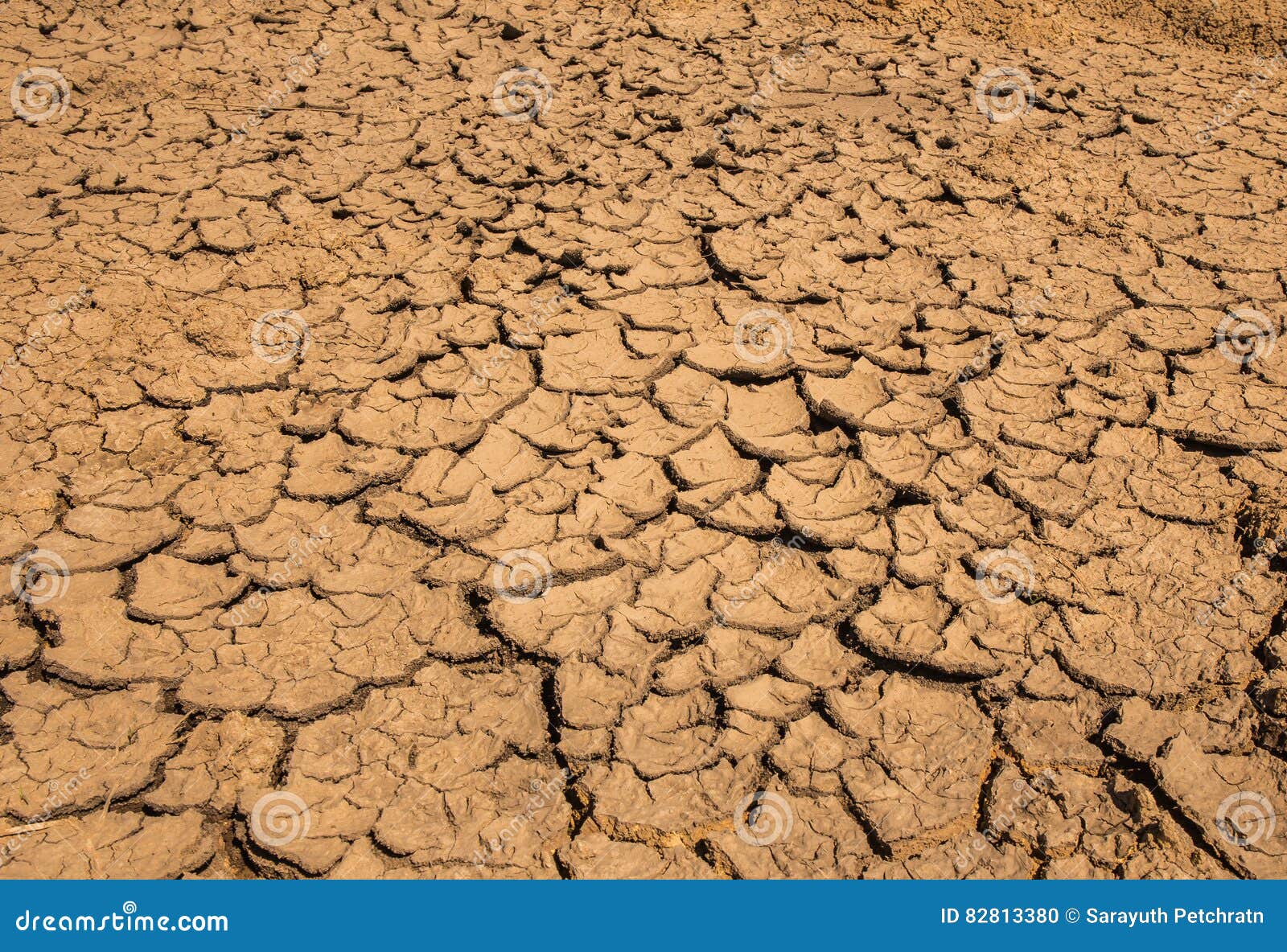 Soil breaking stock photo. Image of thailand, warm, seasons 82813380