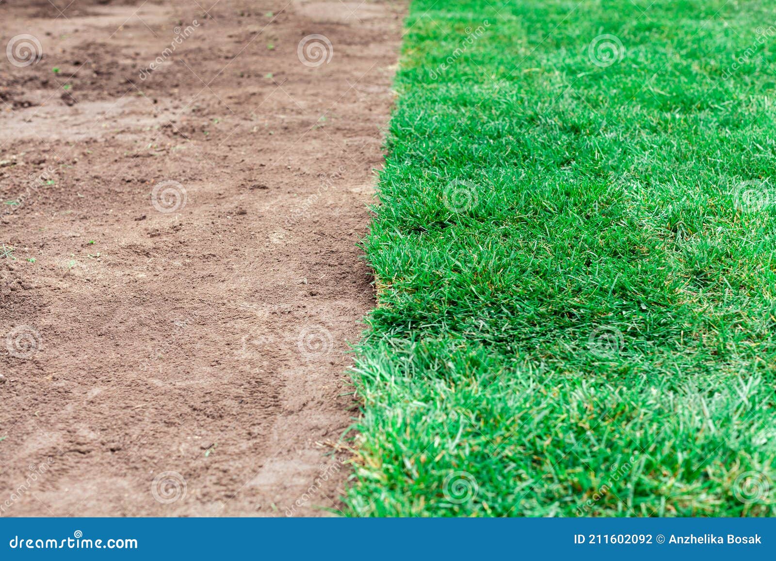 Soil Coating with Rolls of a Lawn Stock Photo Image of installing, natural 211602092