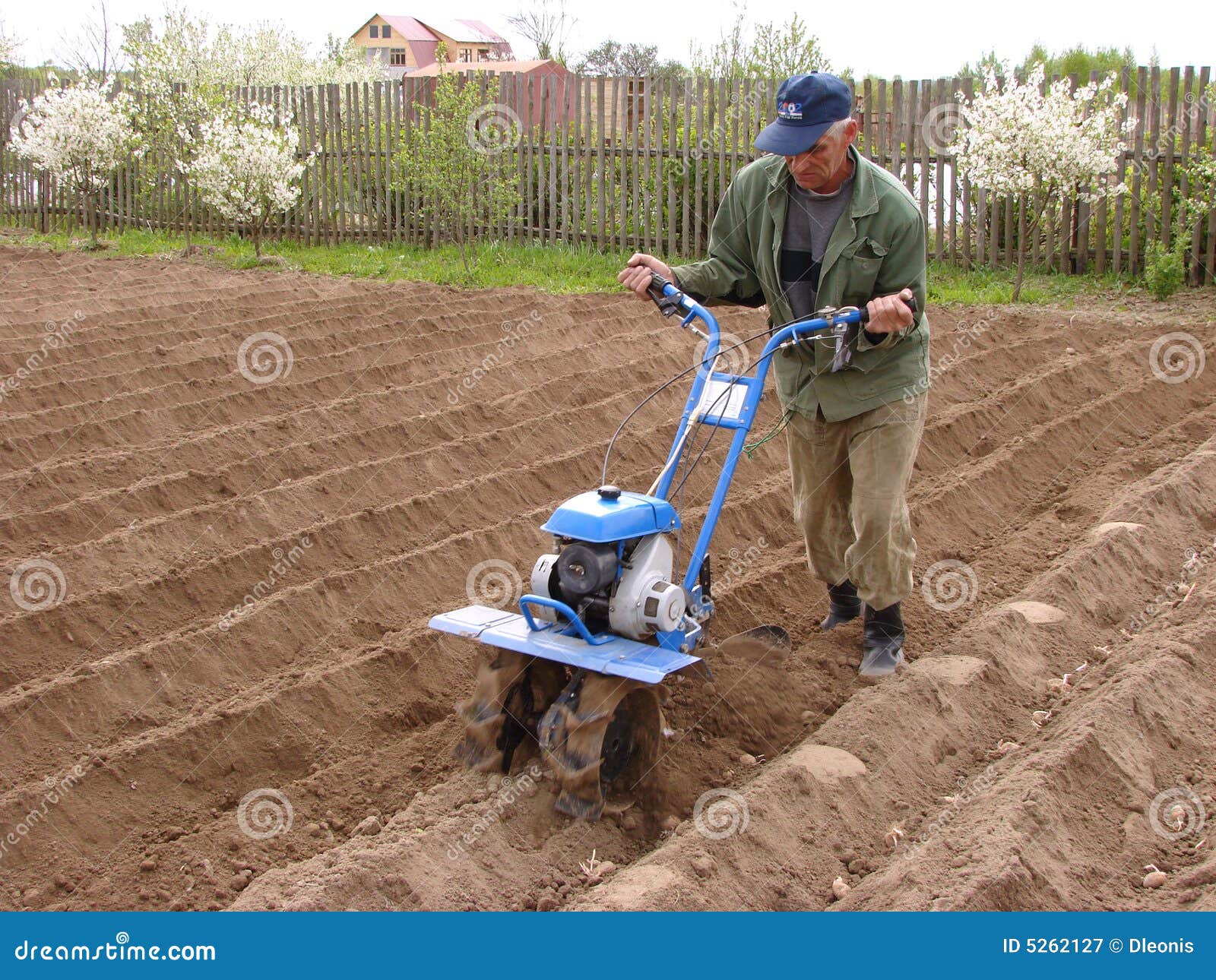 Soil cultivation stock image. Image of rustic, cultivate 5262127