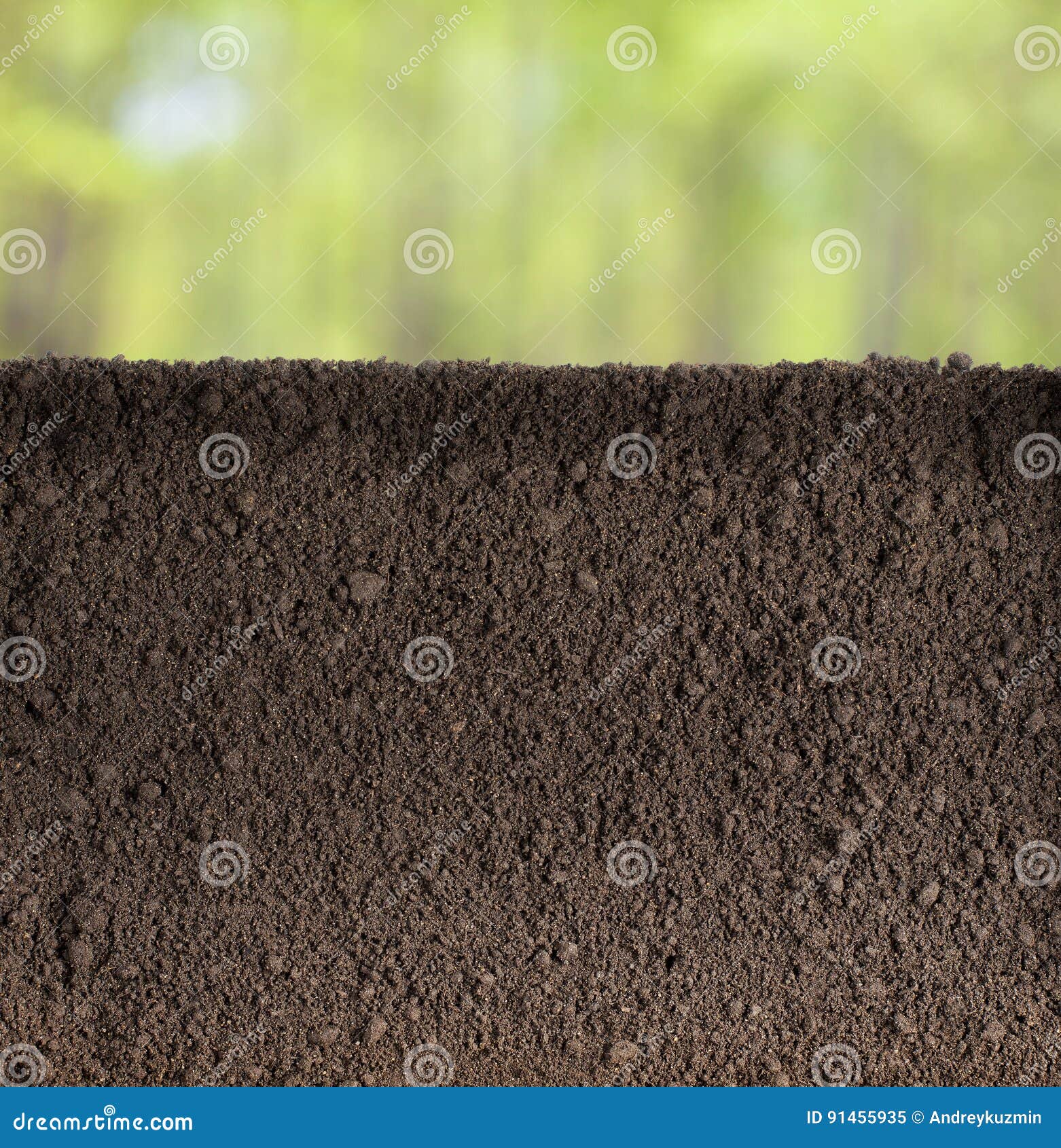 Soil or Dirt Underground Section in Garden or Forest Stock Image
