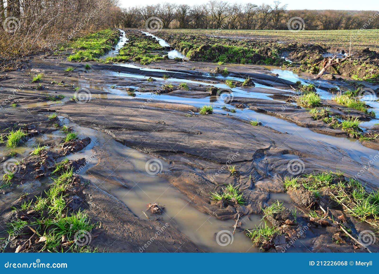 soil erosion in spring plain