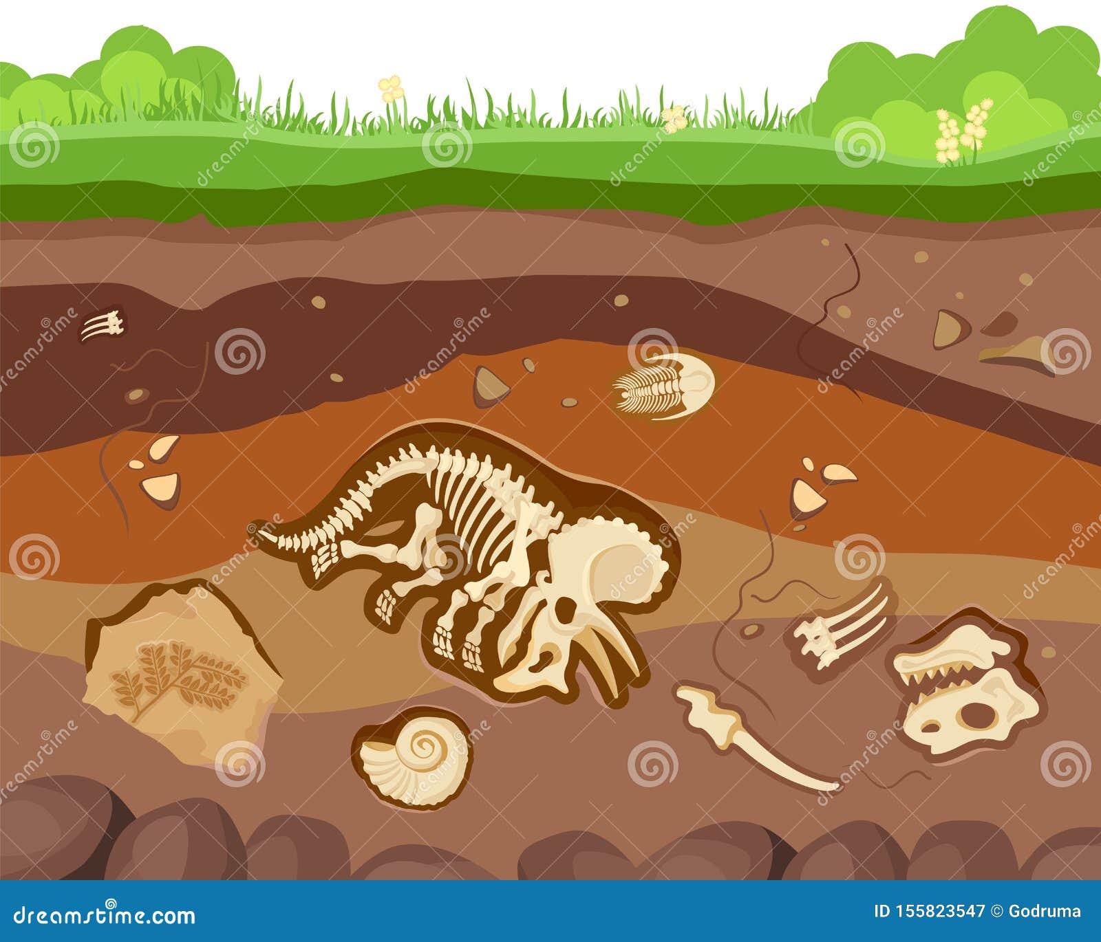 soil ground layers with buried fossil animals, dinosaur, crustaceans and bones.  flat style cartoon 