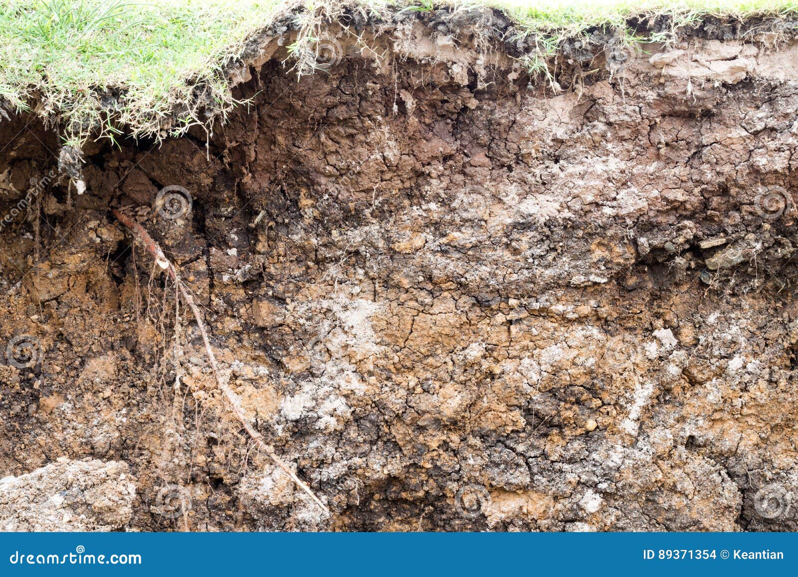 Soil Layer Erodes Water Erosion. Stock Photo Image of cross, field