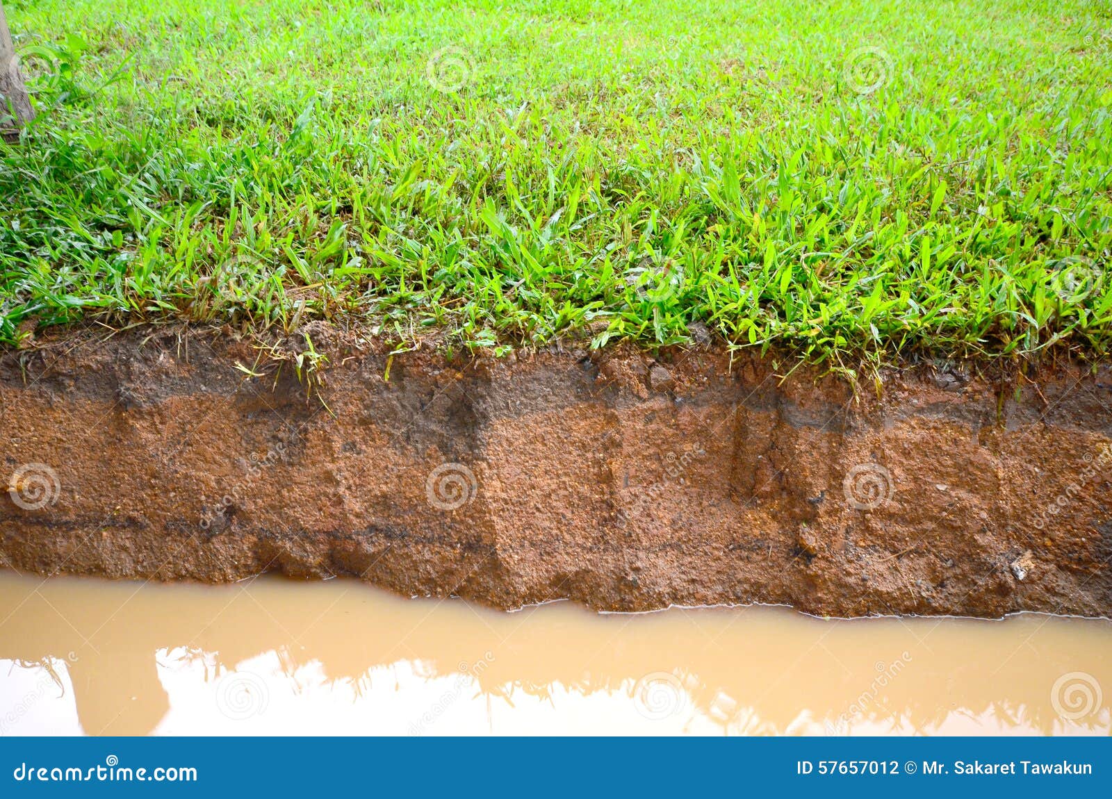 Soil Layer Stock Photo Image 57657012