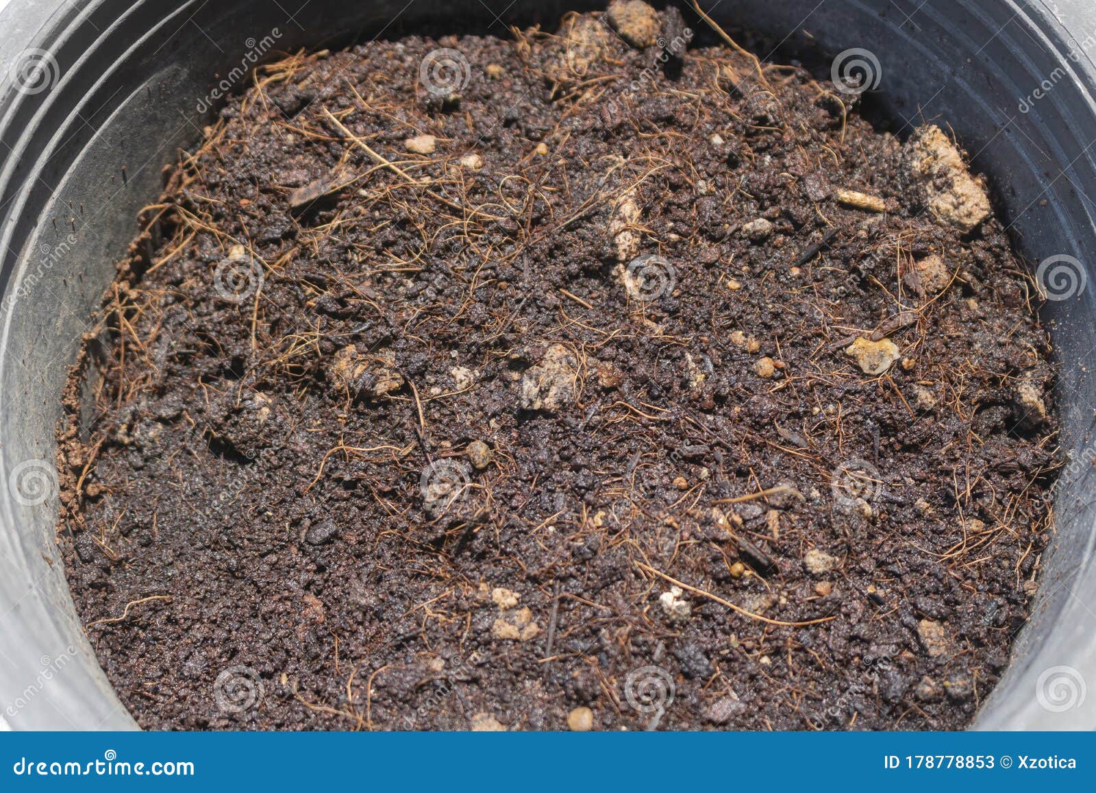 Soil lots of humus stock image. Image of hand, copy 178778853