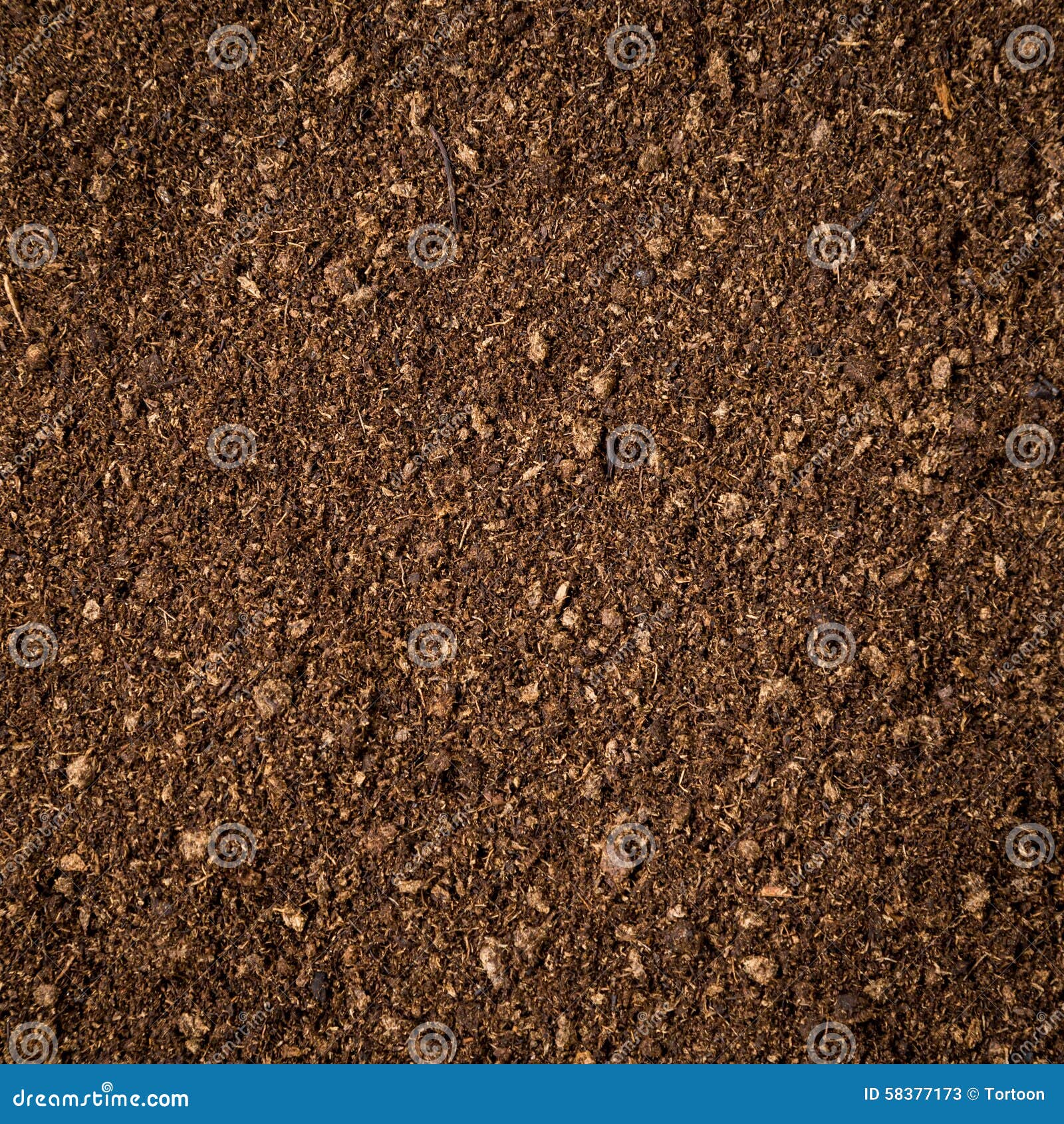 peat moss download free peat moss download free
