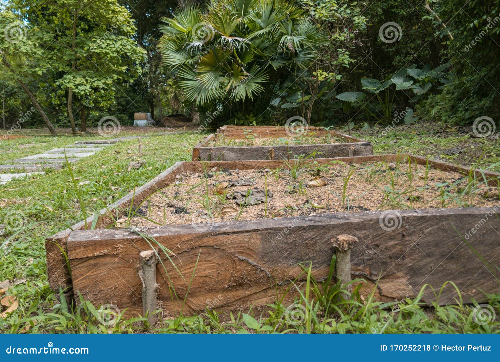 Soil in raised bed garden stock photo. Image of landscaping 170252218