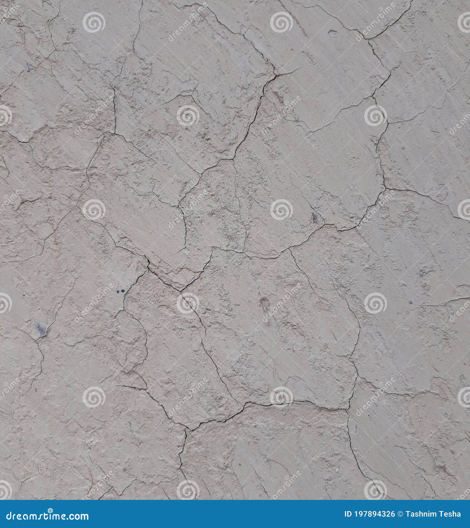 cracks in the soil and dry soil.