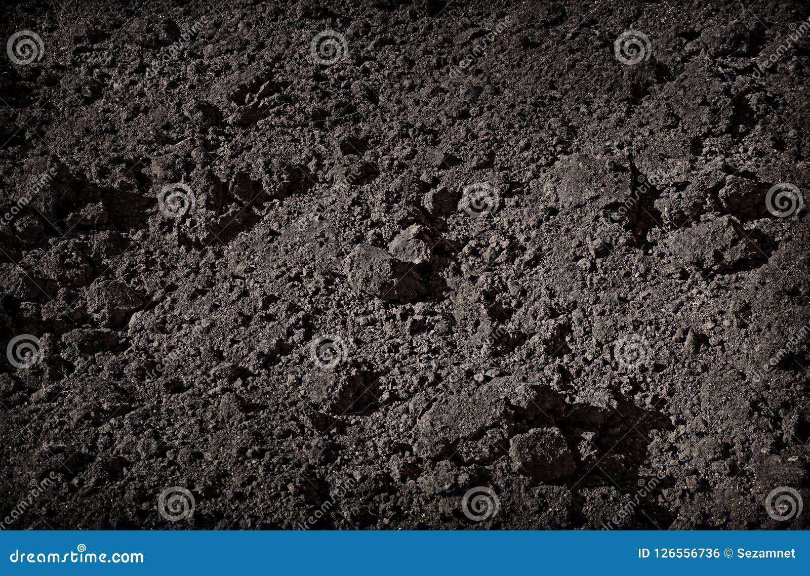 soil surface texture background