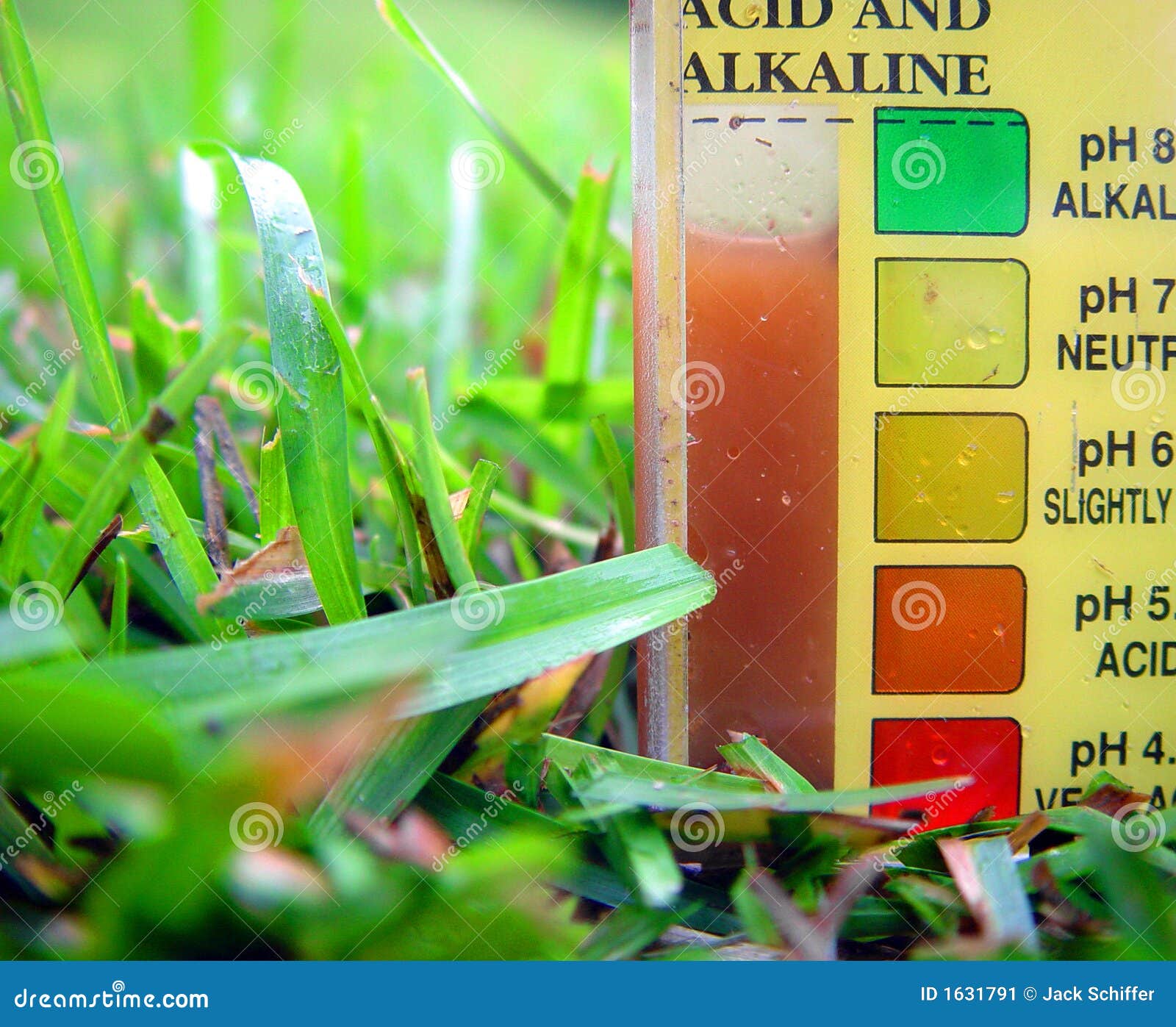 soil test