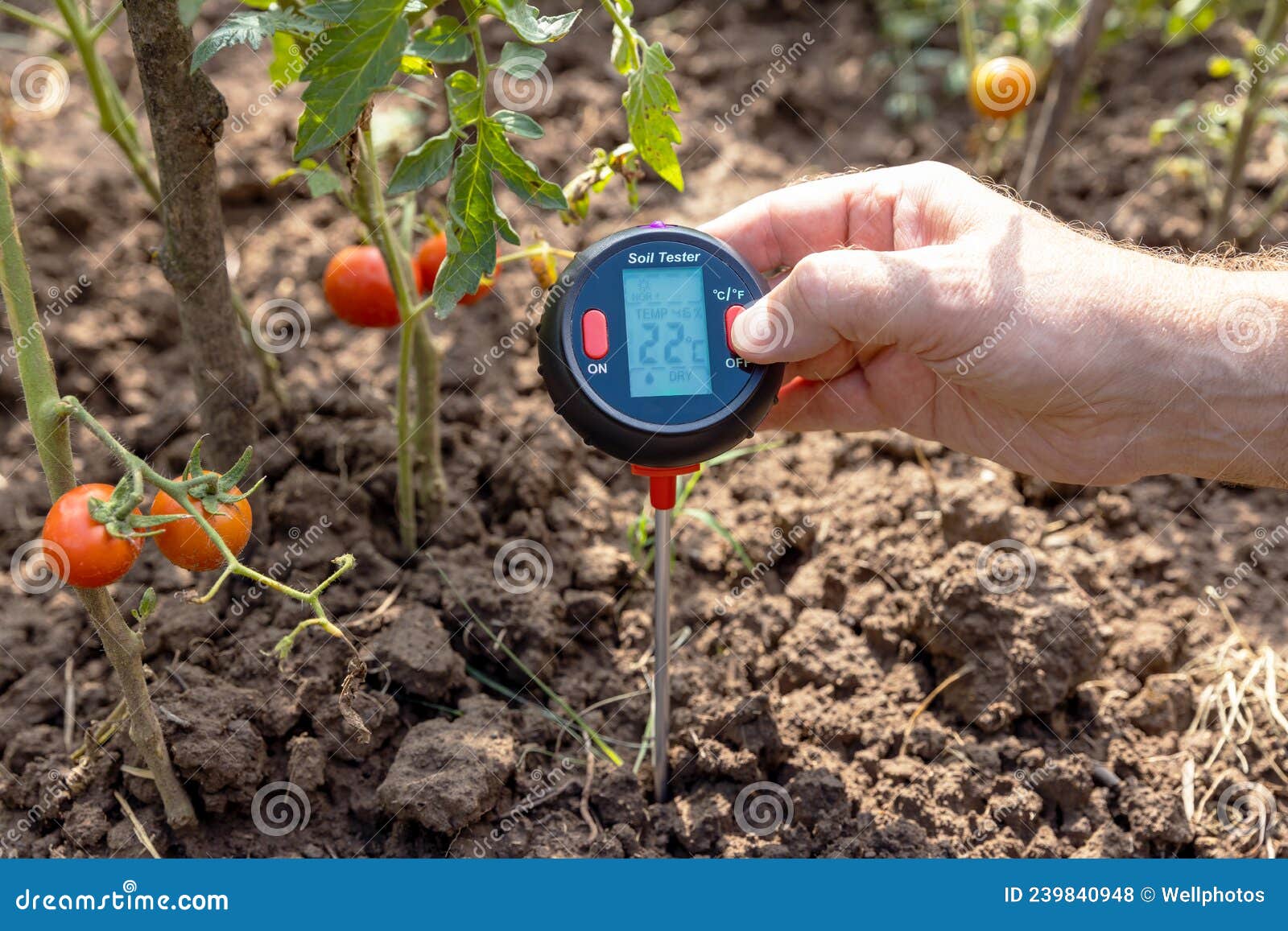 How to Test Soil Temperature 