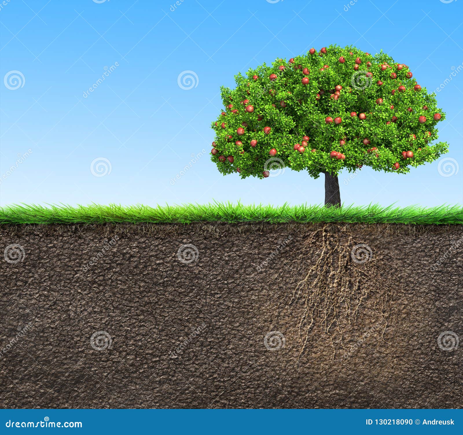 soil with tree and roots