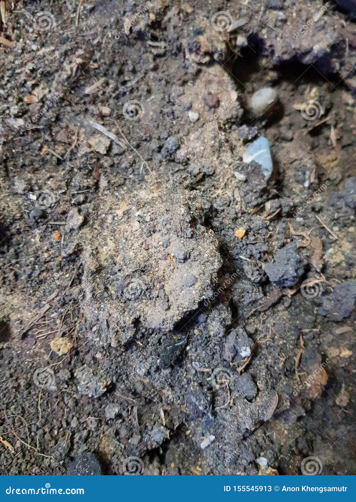 the upper layer of earth in which plants grow