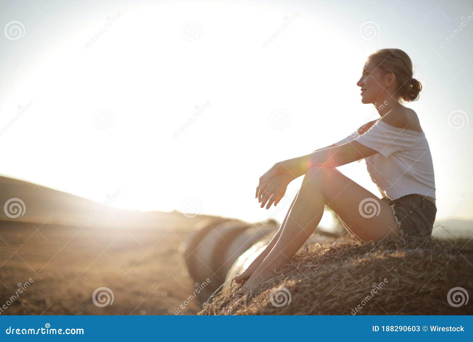 Sol Brilhando Sobre Uma Mulher Loira Sentada Sobre Uma Pilha De Grama Seca  Imagem de Stock - Imagem de grama, fundo: 188290603