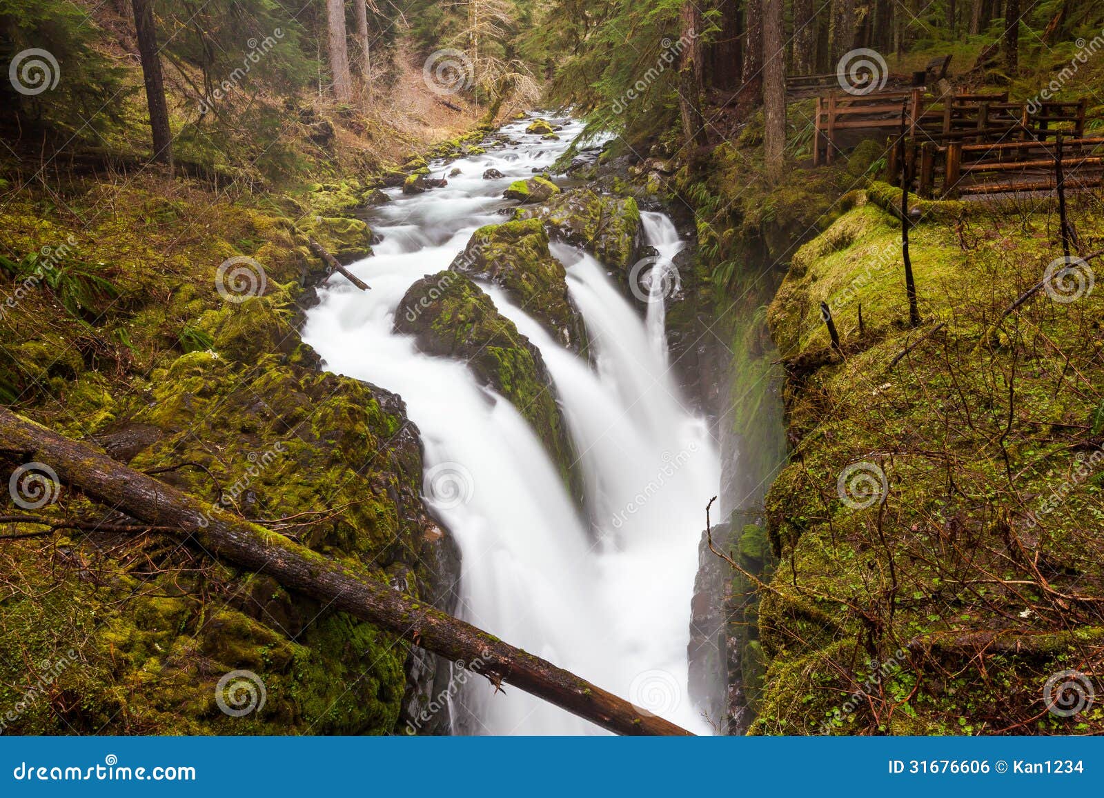 sol duc falls, olympic national park