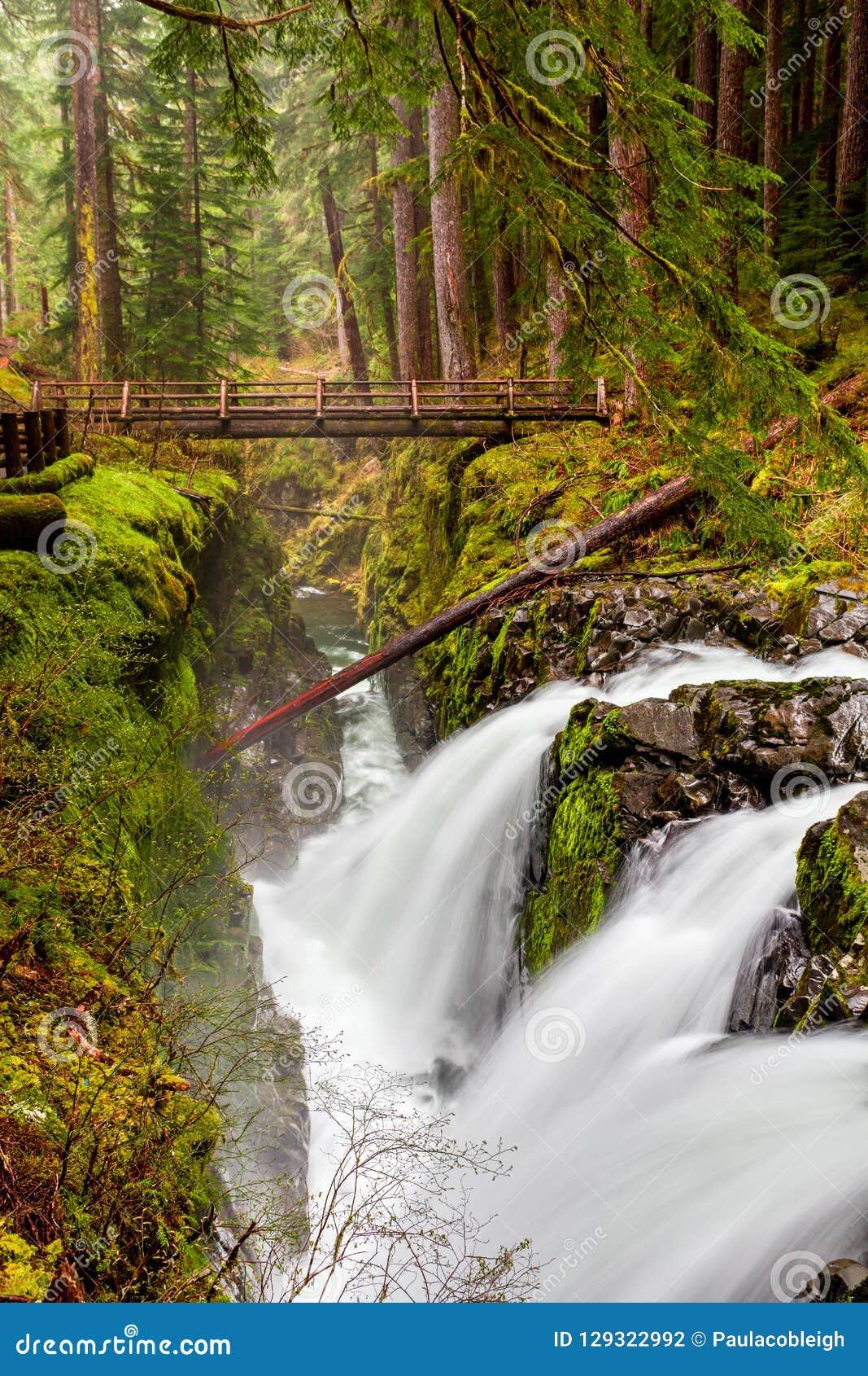 sol duc falls, olympic national park, washington state, usa