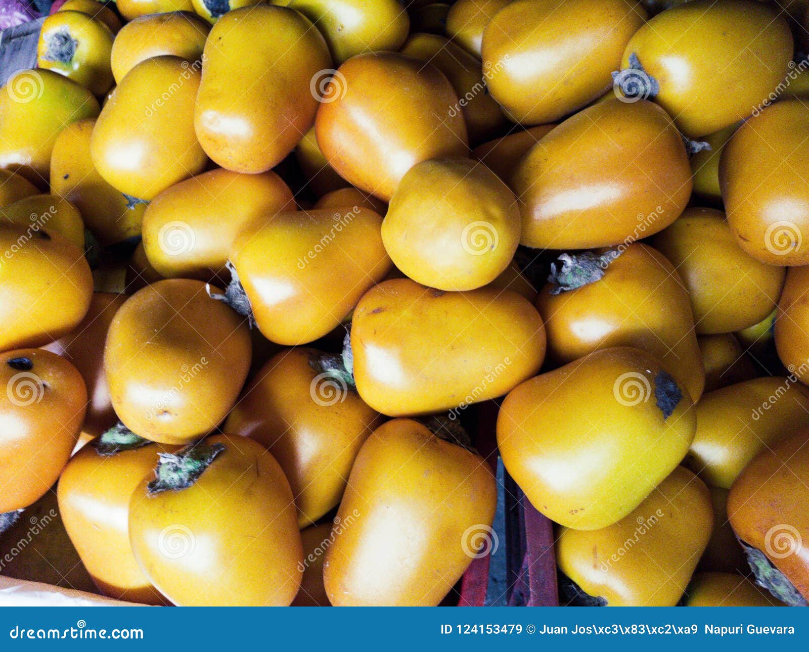 solanum sessiliflorum or cocona is a fruit that grows in tropical areas