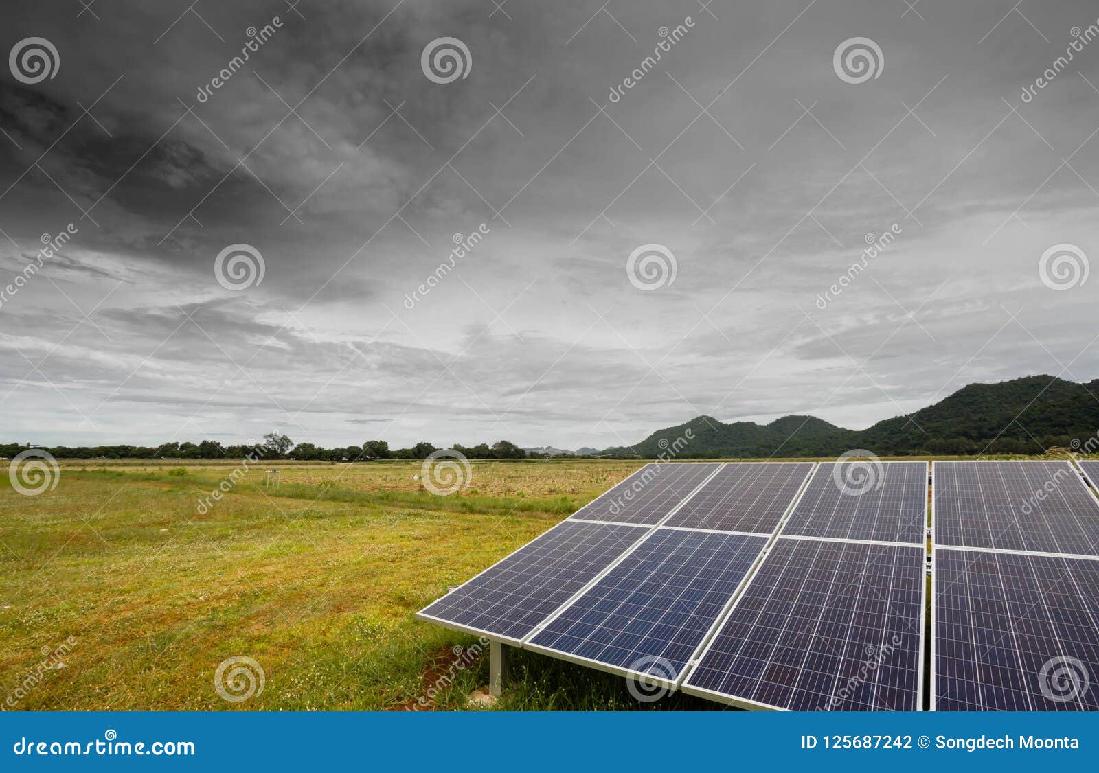 solar cell for agricultural plots