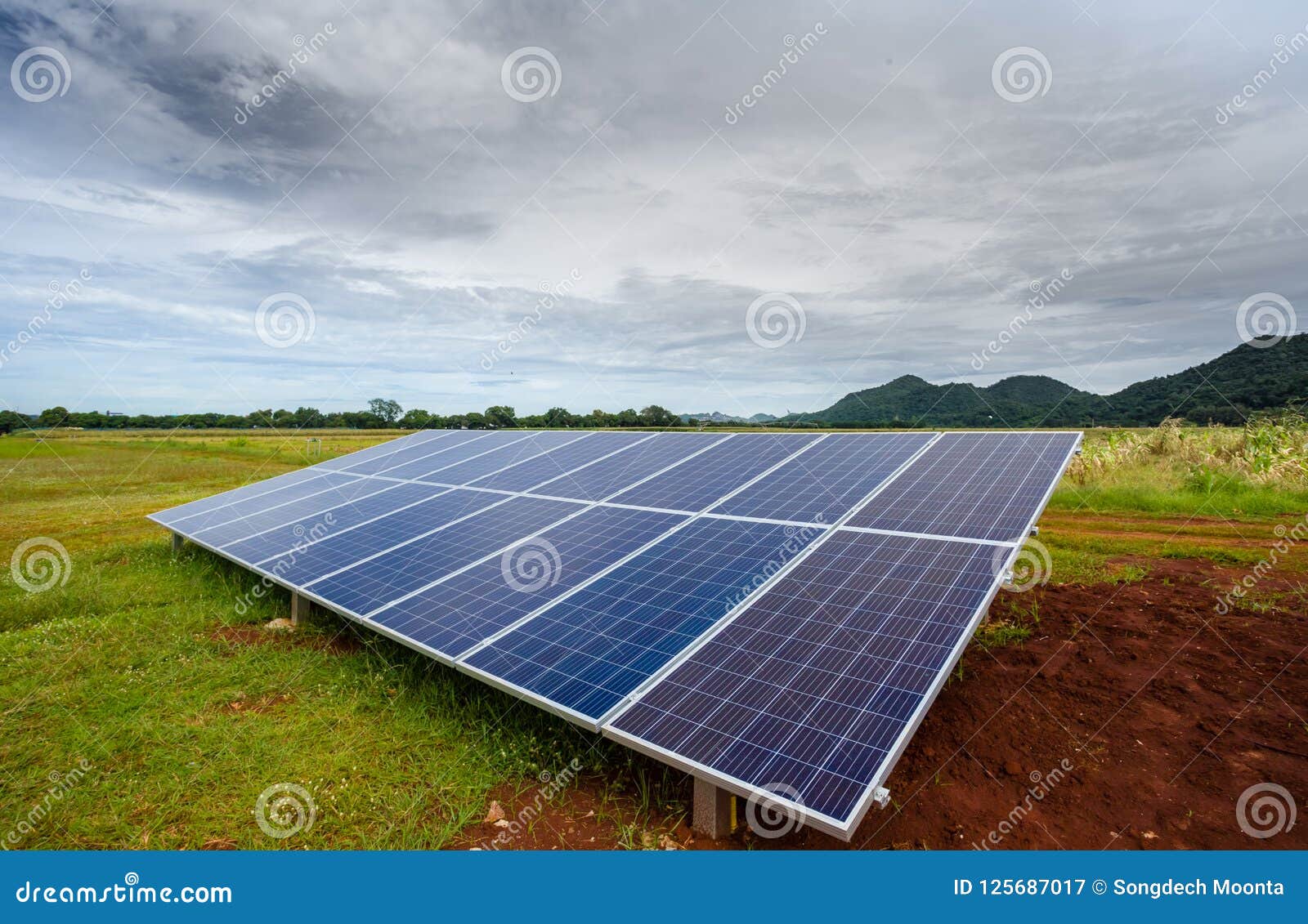 solar cell for agricultural plots