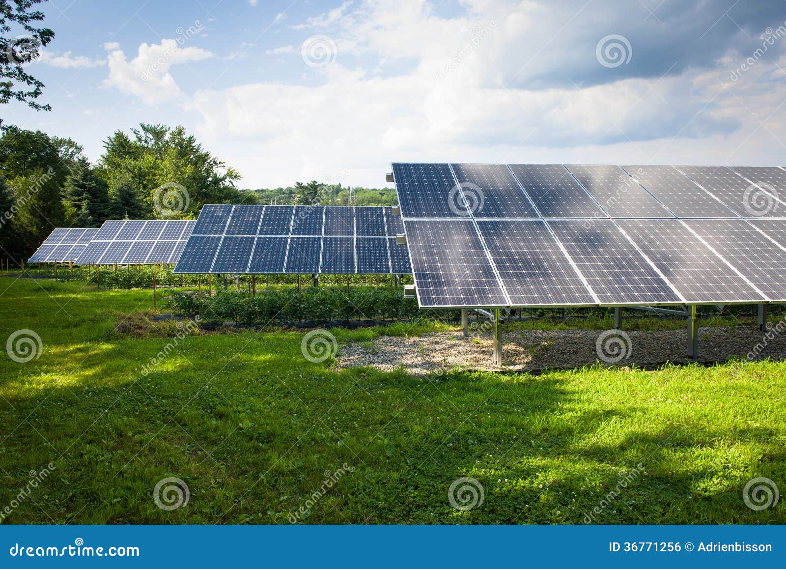 solar collectors