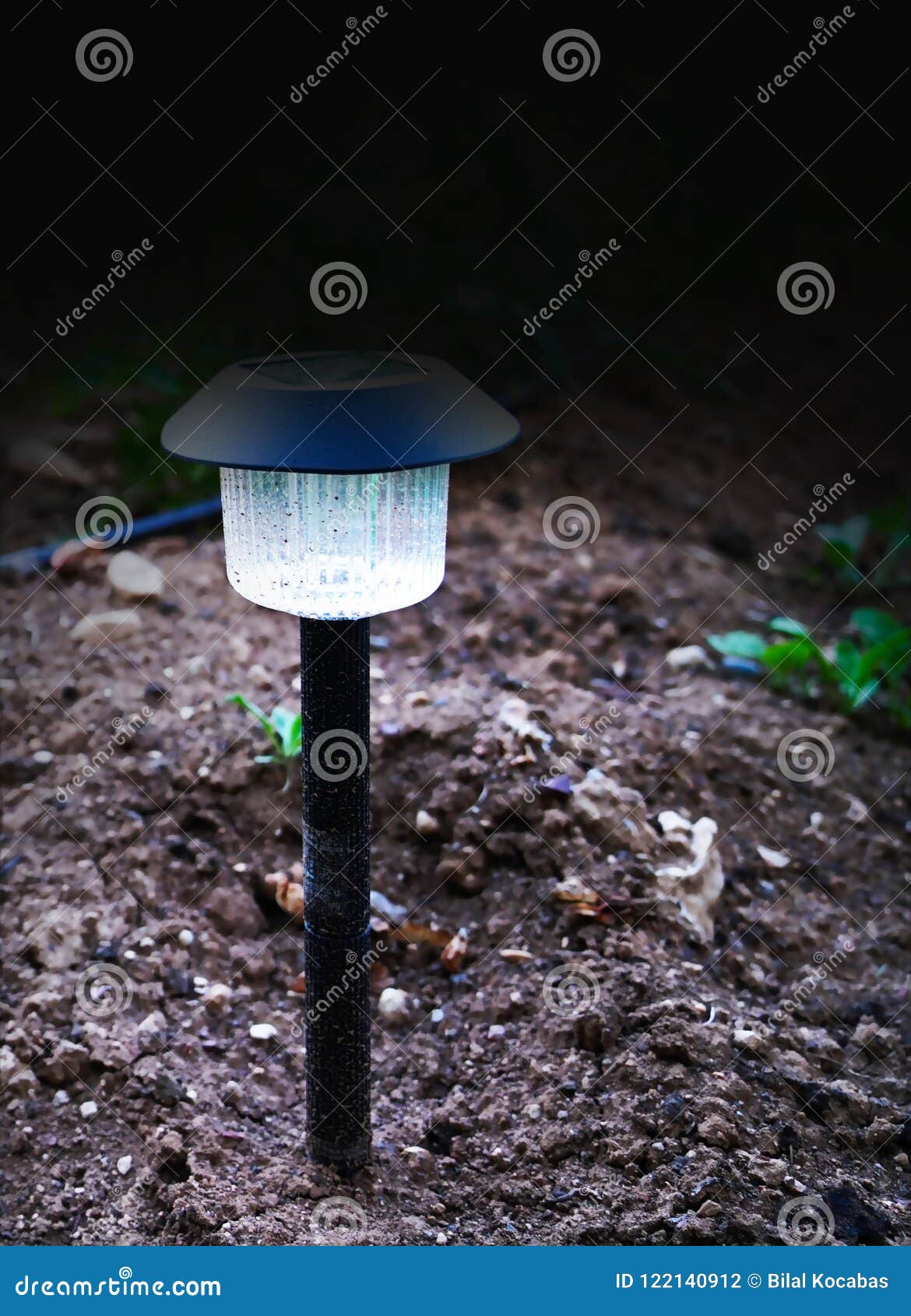 Solar Decorative Spot Light Spotlight Put in Ground in Garden Stock Photo Image of modern