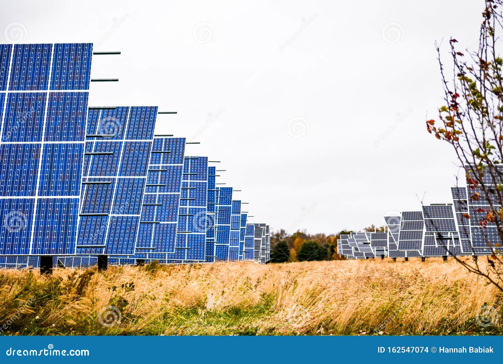 Solar Panel Farm in Country Stock Photo Image of resources