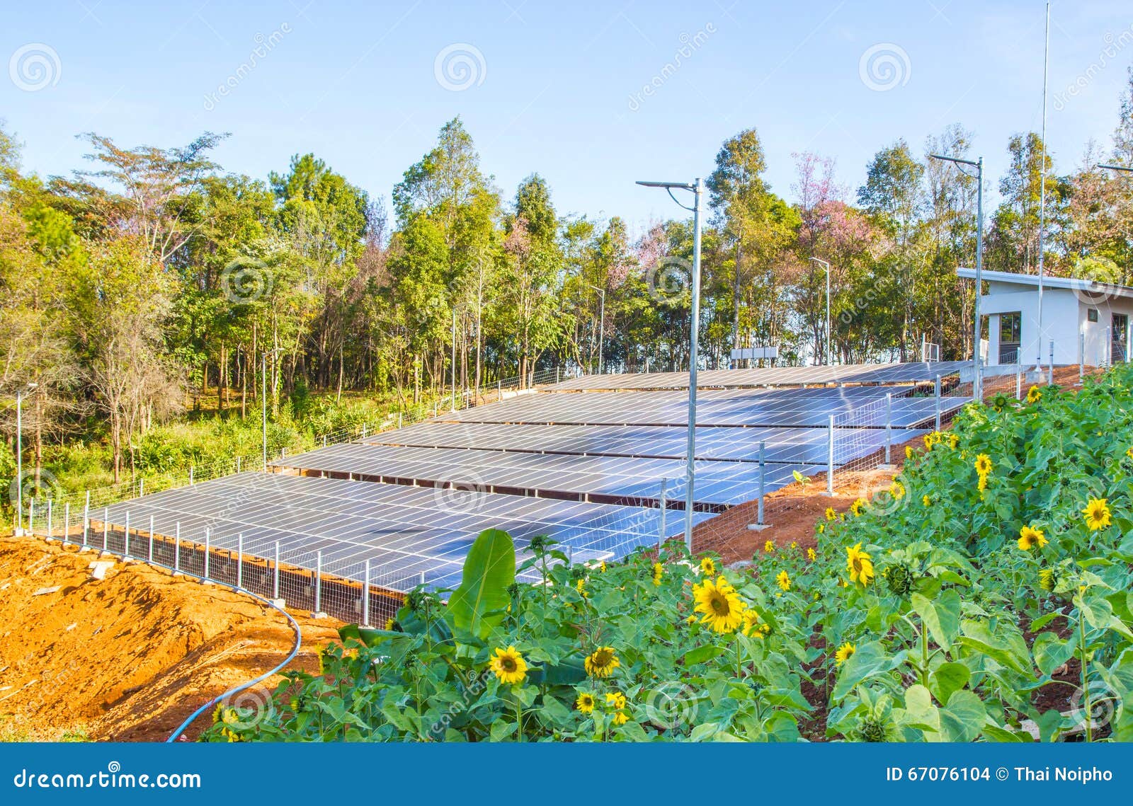 Solar Panel Field in Chiang Mai, Thailand Stock Photo Image of
