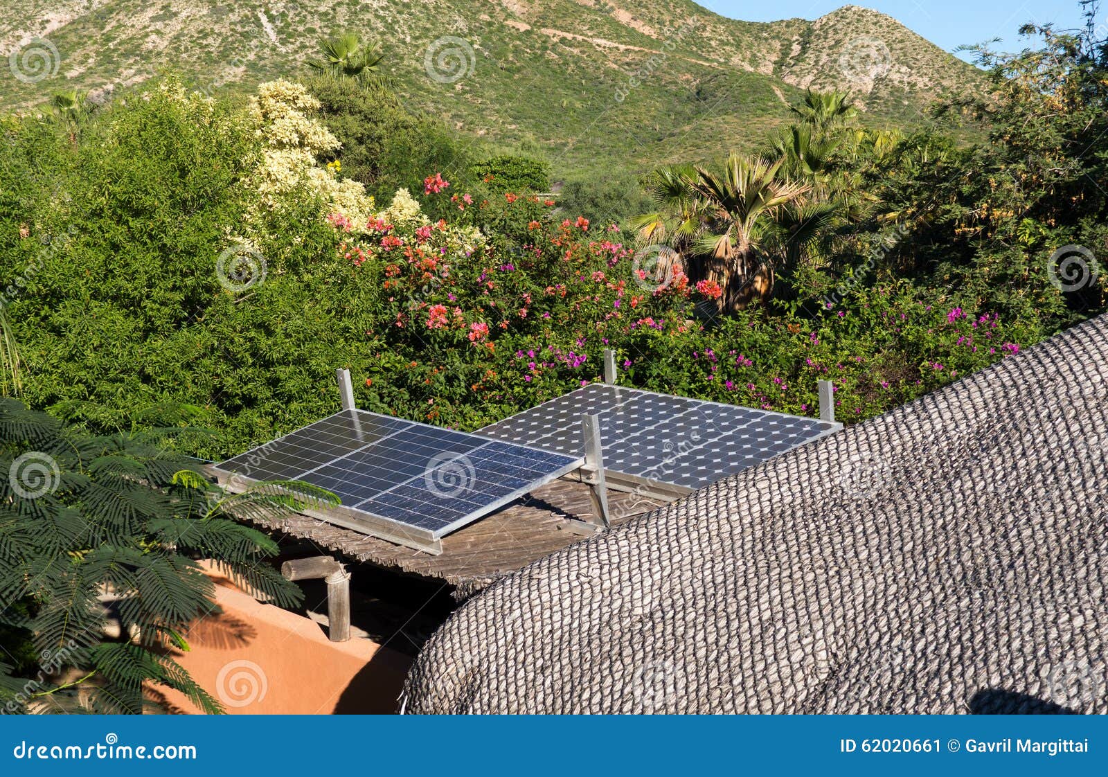 solar panels in cabo pulmo, an echo village