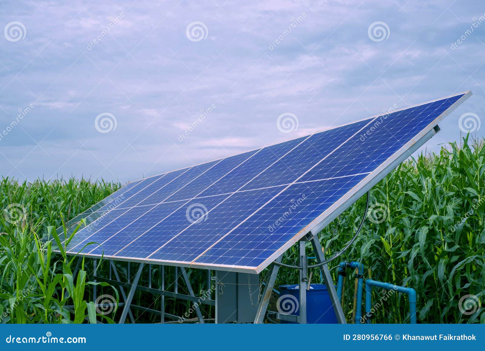 Solar Panels for Irrigation Systems in Farmer S Corn Fields Stock Photo