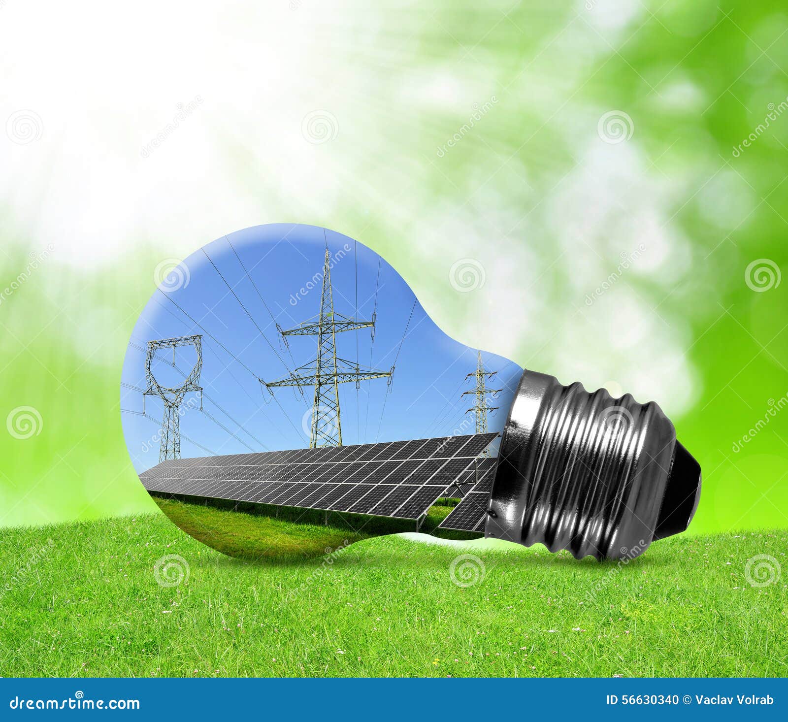 Solar Panels with Pylons in Light Bulb. Stock Photo Image of cells