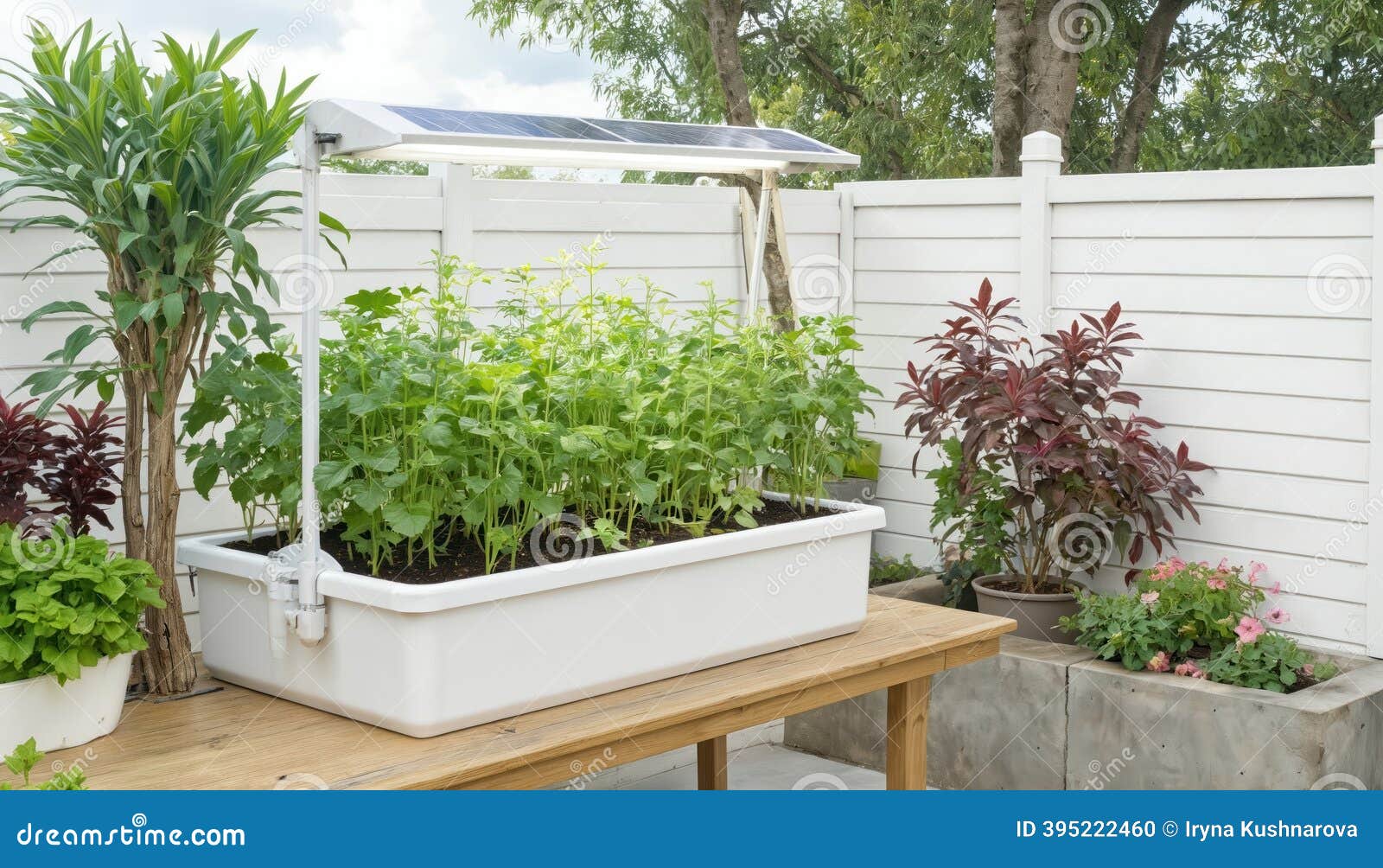 Solar Powered Garden Growing Kit with Rich Green Plants in White Raised  Bed. Features Built-in Solar Panel, Grow Light for Stock Illustration -  Illustration of vegetable, farming: 395222460, image size:1600x1004